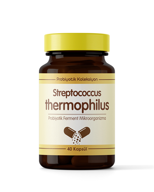 Streptococcus thermophilus ( 40 Kapsül )