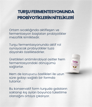 Turşu Mayası 10 Kapsül