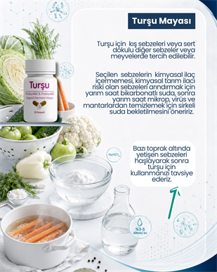 Turşu Mayası 10 Kapsül