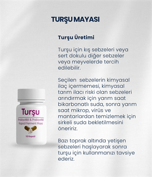 Turşu Mayası 10 Kapsül