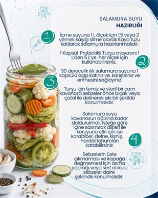 Turşu Mayası 10 Kapsül