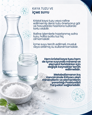 Turşu Mayası 10 Kapsül
