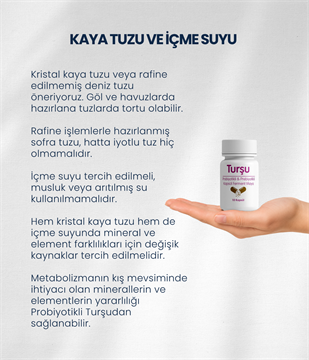 Turşu Mayası 10 Kapsül