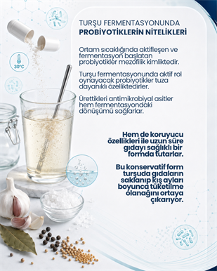 Turşu Mayası 10 Kapsül