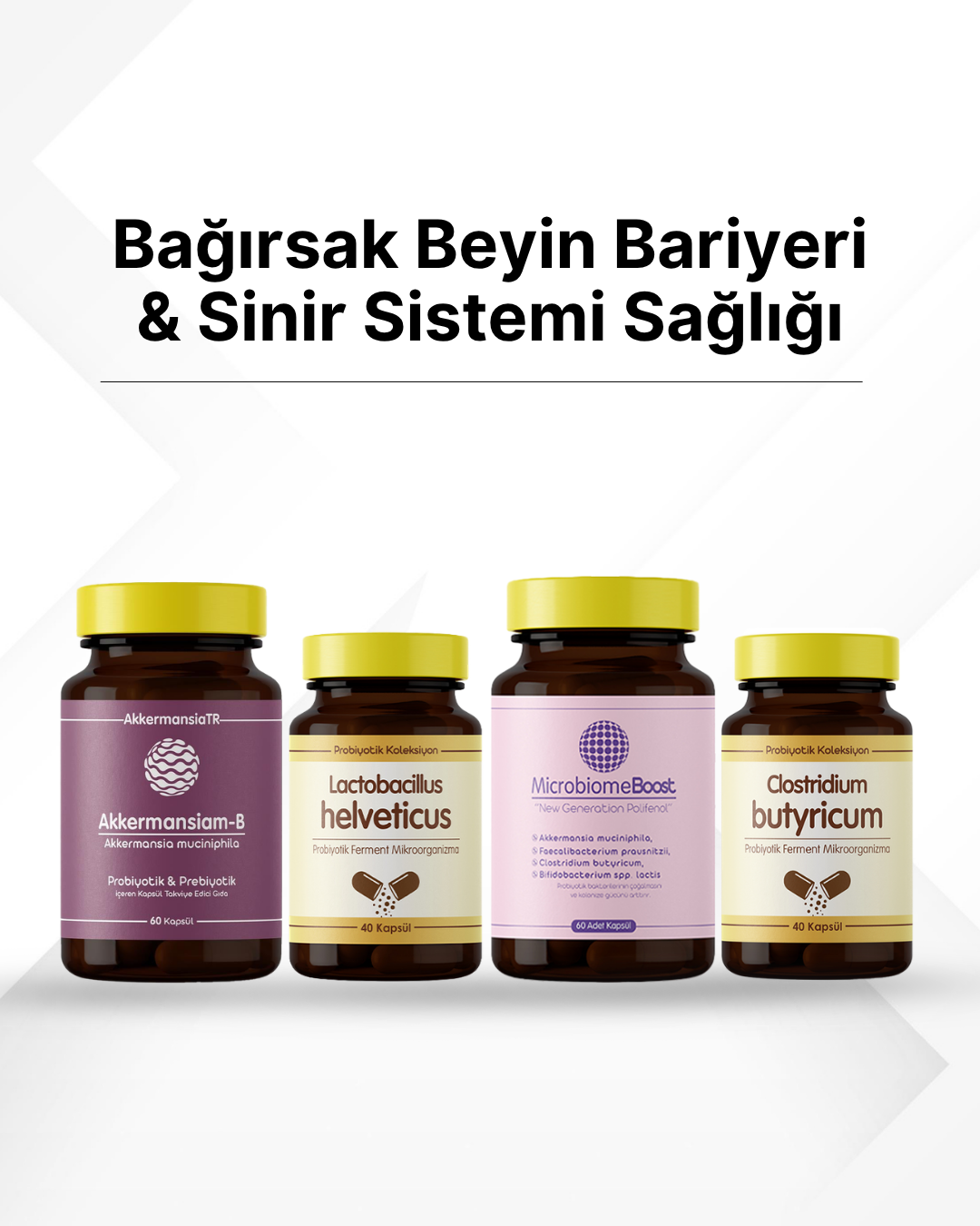 Bağırsak Beyin Bariyeri ve Sinir Sistemi Sağlığı Probiyotik Seti