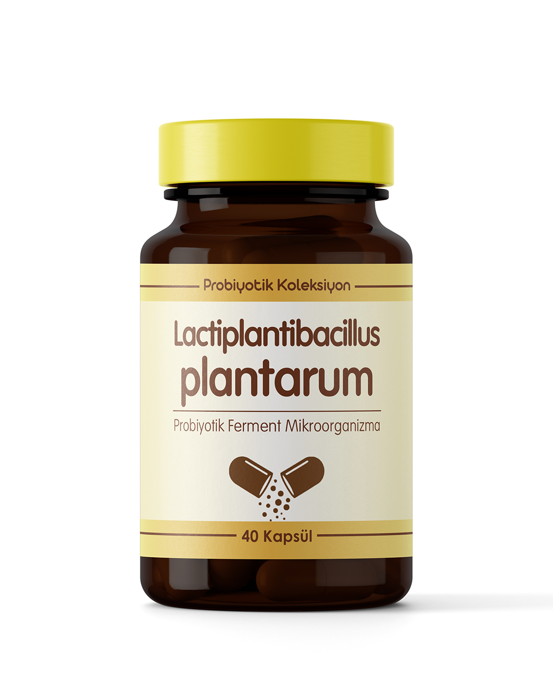 Lactiplantibacillus plantarum ( 30 Saşe )