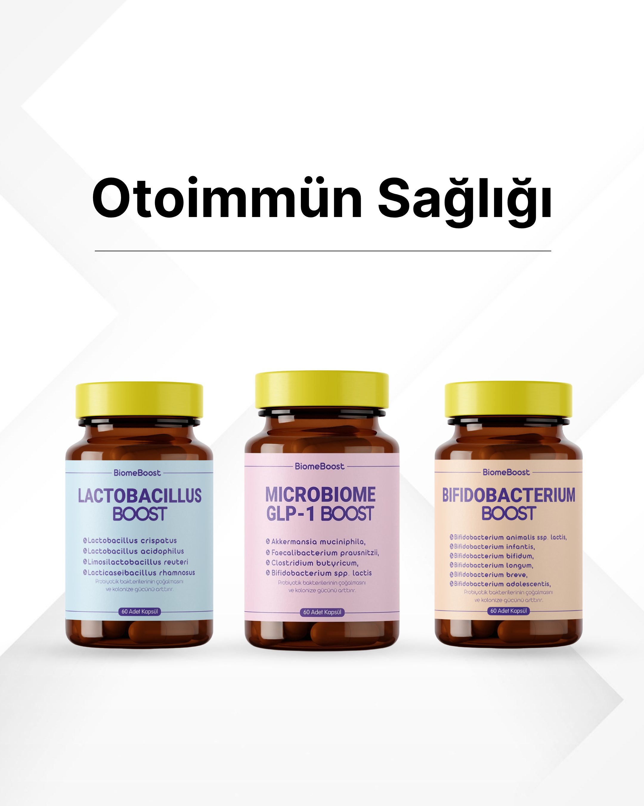 Otoimmün Sağlığı Probiyotik Seti