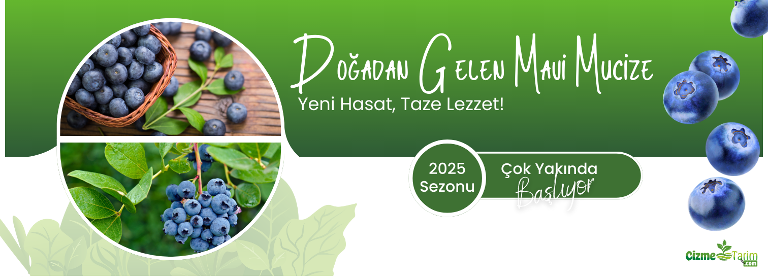 Yaban Mersini Reçeli