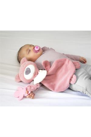 Babyjem Diş Kaşıyıcılı Uykucu Ayıcık Gül Kurusu 680
