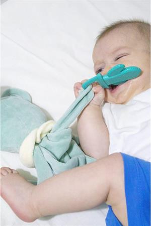 Babyjem Diş Kaşıyıcılı Uykucu Ayıcık Yeşil 680