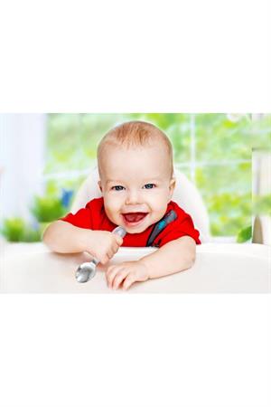 Babyjem Paslanmaz Çelik Çatal Kaşık Seti Gri 522