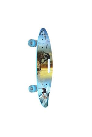 Can Oyuncak Kay Kay 885 Karma Renk