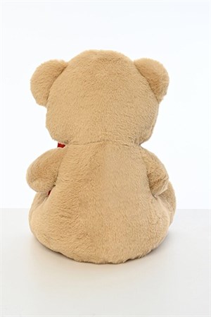 Pufu Toys 40 Cm Mektuplu  Ayıcık (32) 04014