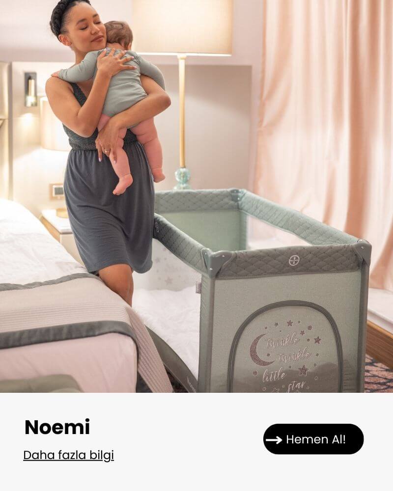 Noemi-Banner
