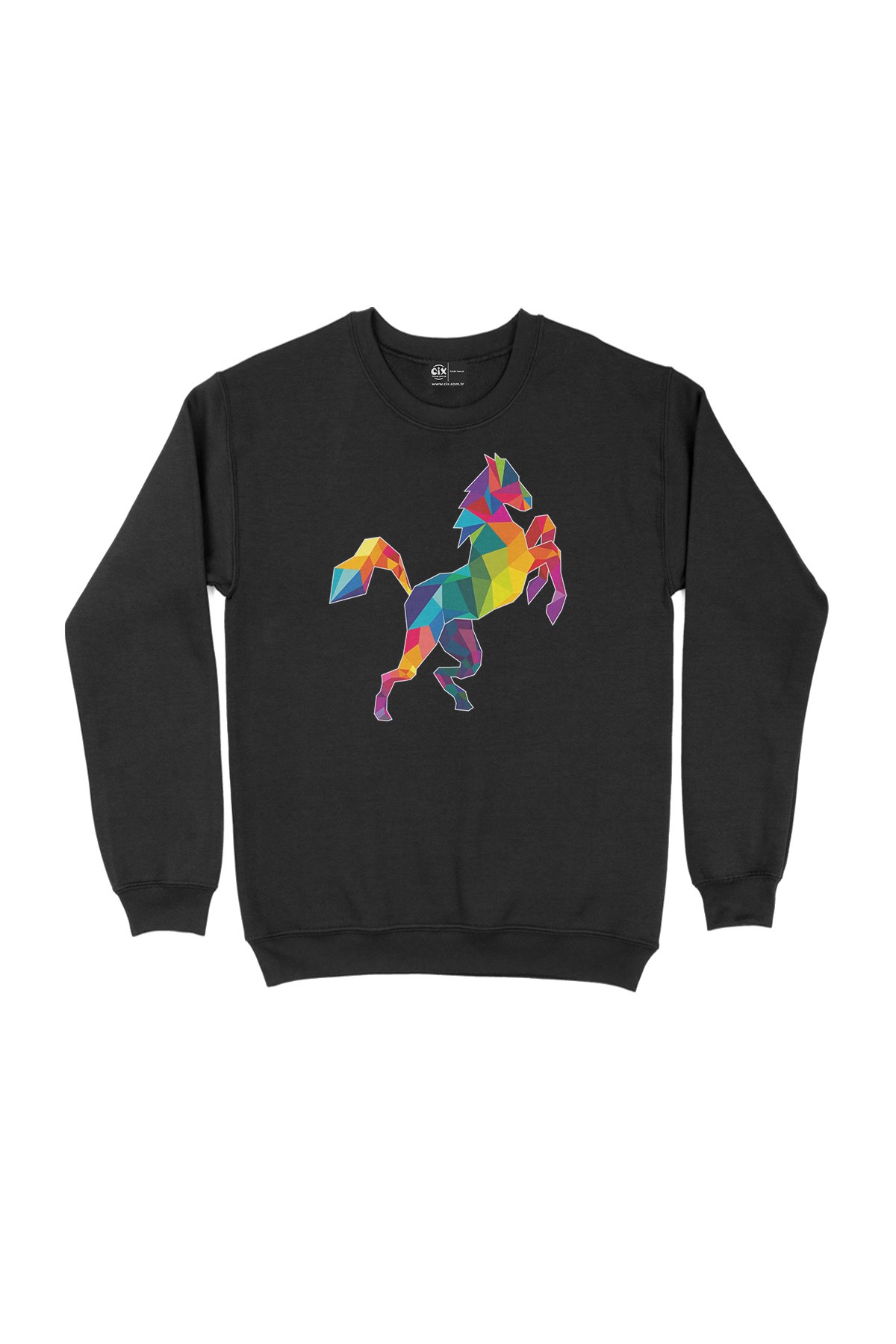 Gökkuşağı Renkli Polygon At Sweatshirt