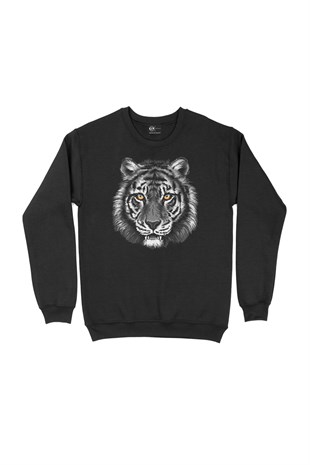 Kaplan Sweatshirt
