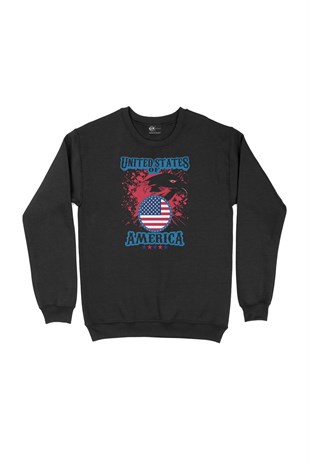 United States Of America Sweatshirt