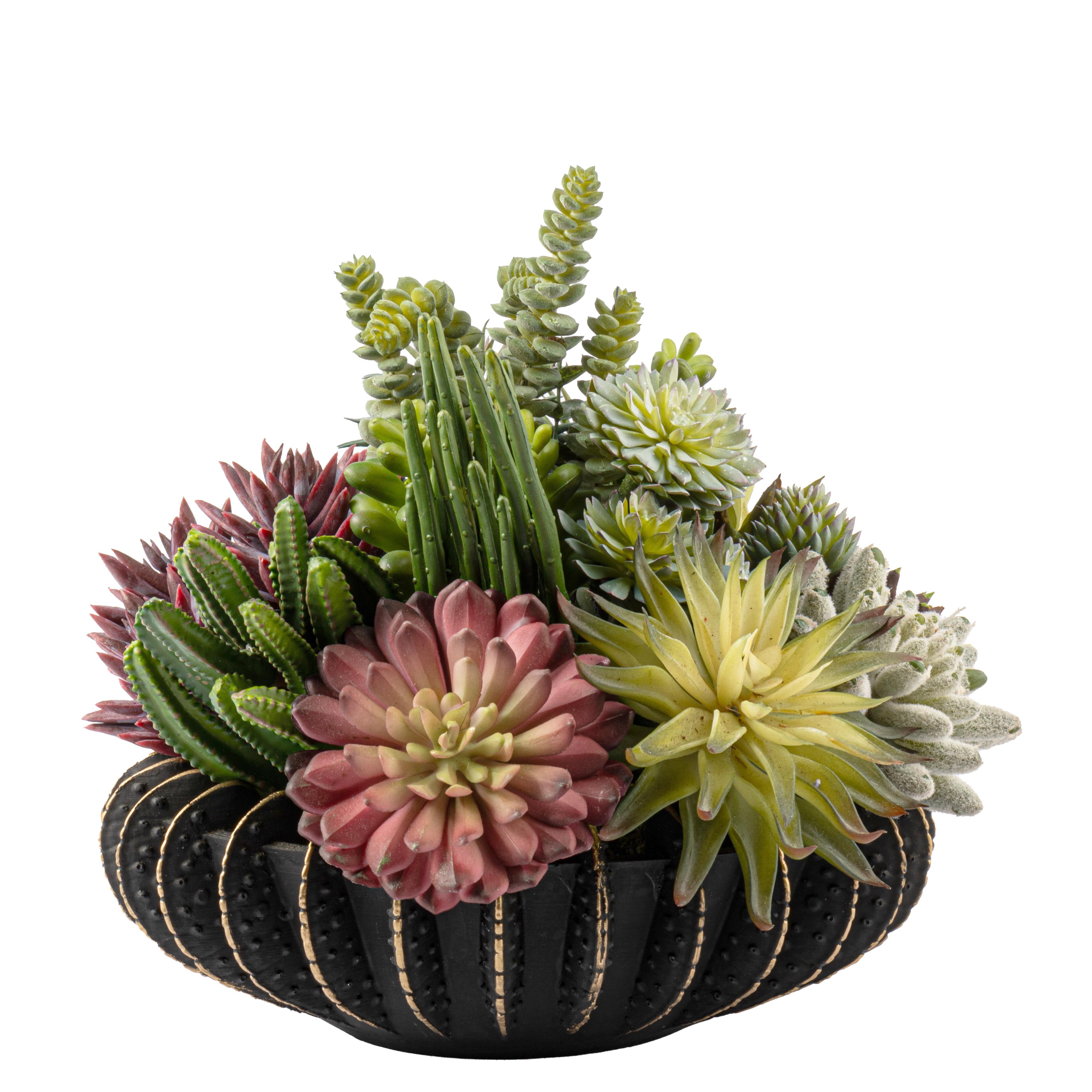 TIRTIKLI VAZO SUKULENT ARAJMANI