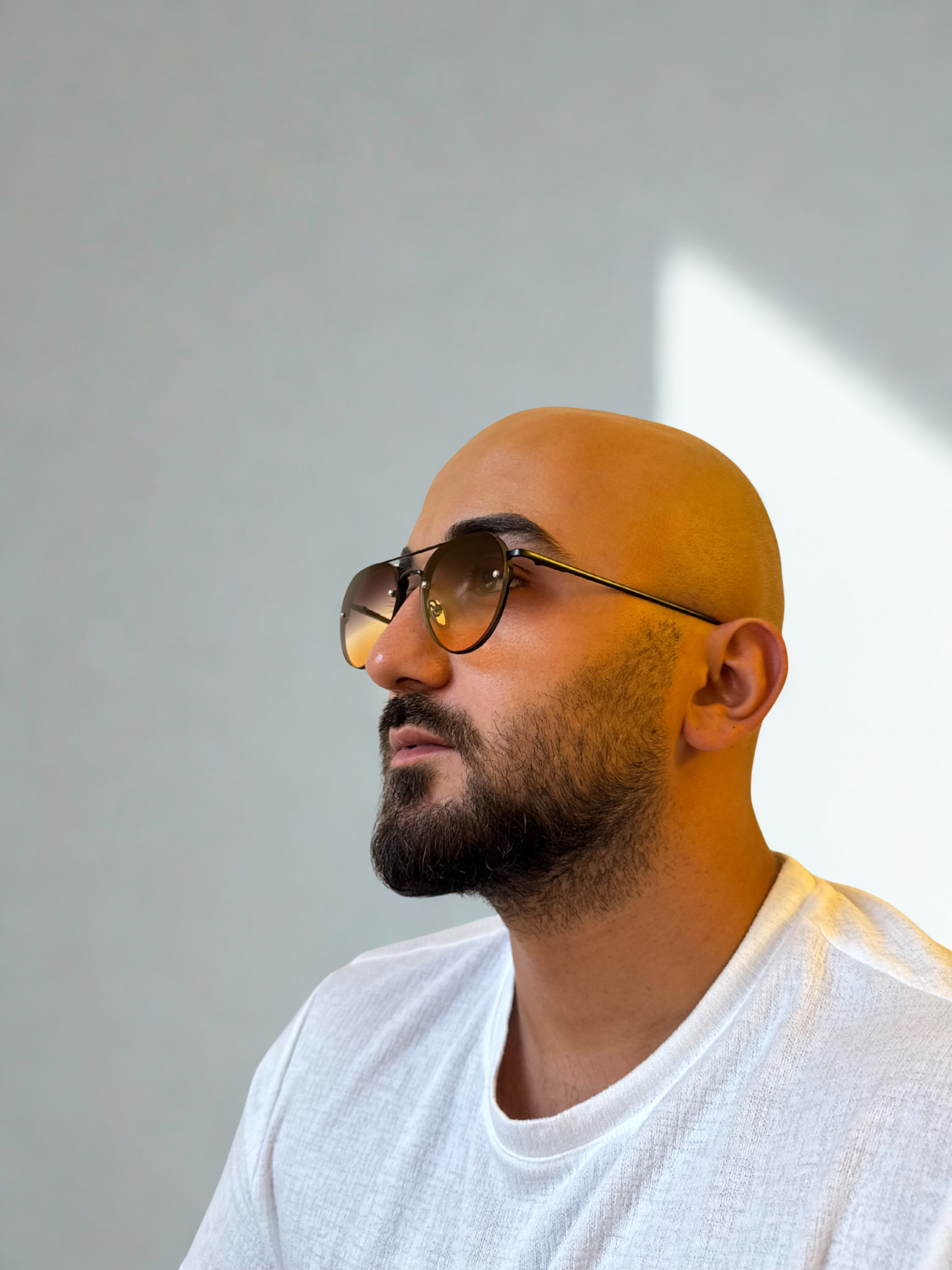 Logan Degrade Erkek Güneş Gözlüğü