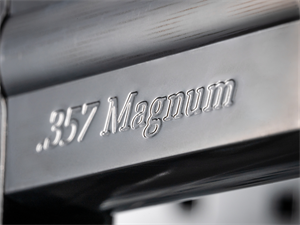 Dan Wesson 715 4.5mm BB Silver, 2.5