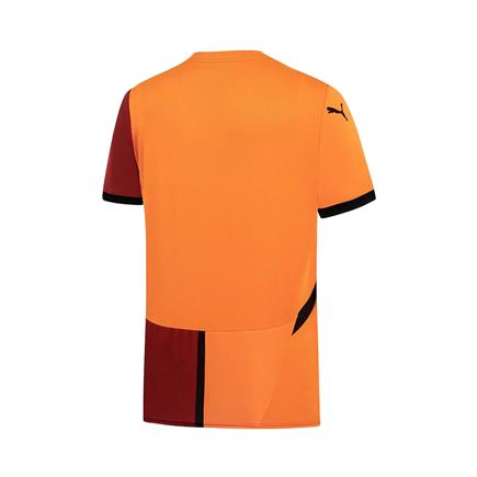 Puma Galatasaray Erkek İç Saha Forması