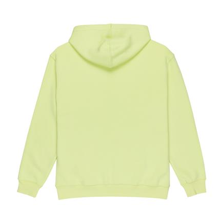 Quiksilver Big Logo Hoodie Erkek Sweatshirt