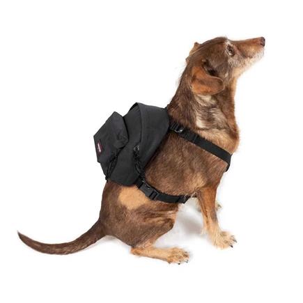 Eastpak Dog Pak r Siyah Sırt Çantası