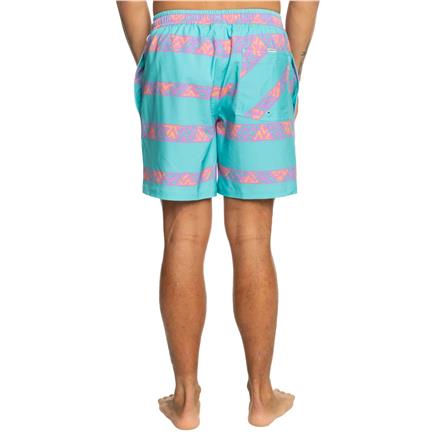Quiksilver Take Us Back Vl 17 Erkek Mavi Volley Short