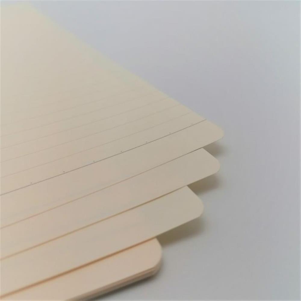 Life loose leaf a4 izgili ka t mavi
