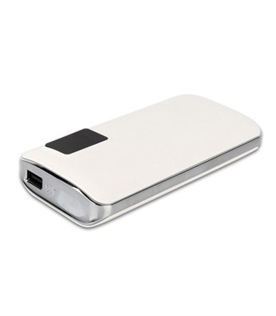 Led Göstergeli Powerbank 13000 Mah.