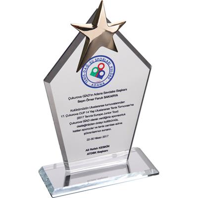Yıldızlı Kristal Plaket M2
