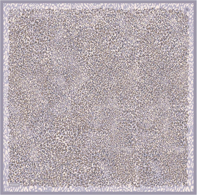 Armine Desenli Saf İpek Twill Eşarp 9352--04