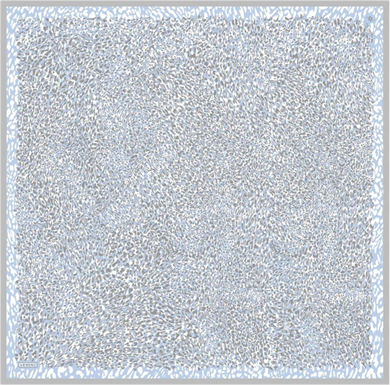 Armine Desenli Saf İpek Twill Eşarp 9352--06