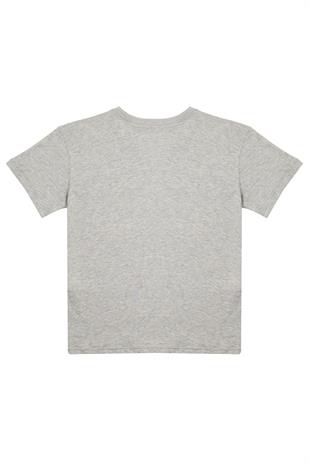 Erkek Çocuk Gri Melanj Tshirt - Logan