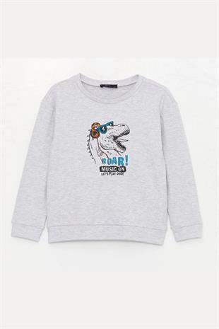 Erkek Çocuk Sweatshirt Gri - Martin