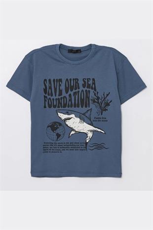 Erkek Çocuk Tshirt Mavi - Allen