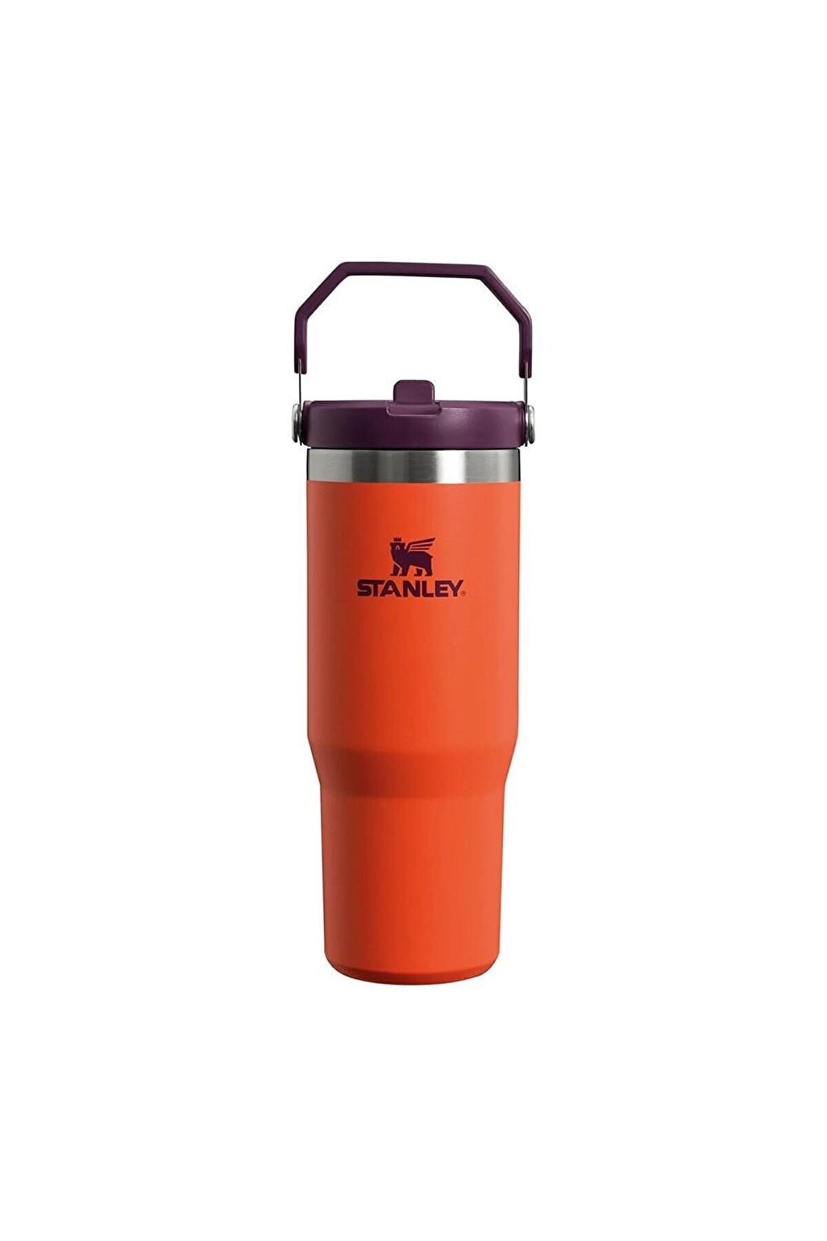 Iceflow™ Flip Straw Tumbler Pipetli Termos | 0.89L Turuncu
