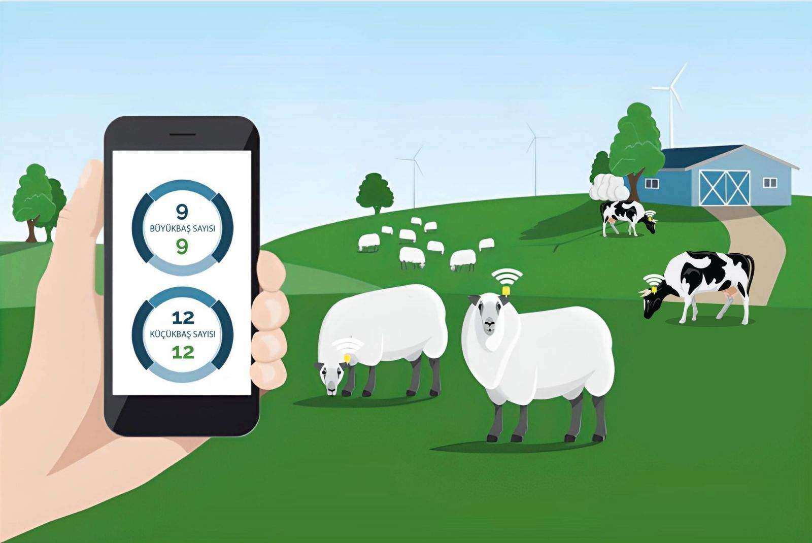 kayfiat astikhdam RFID fi 'iidarat altharwat alhayawaniati?