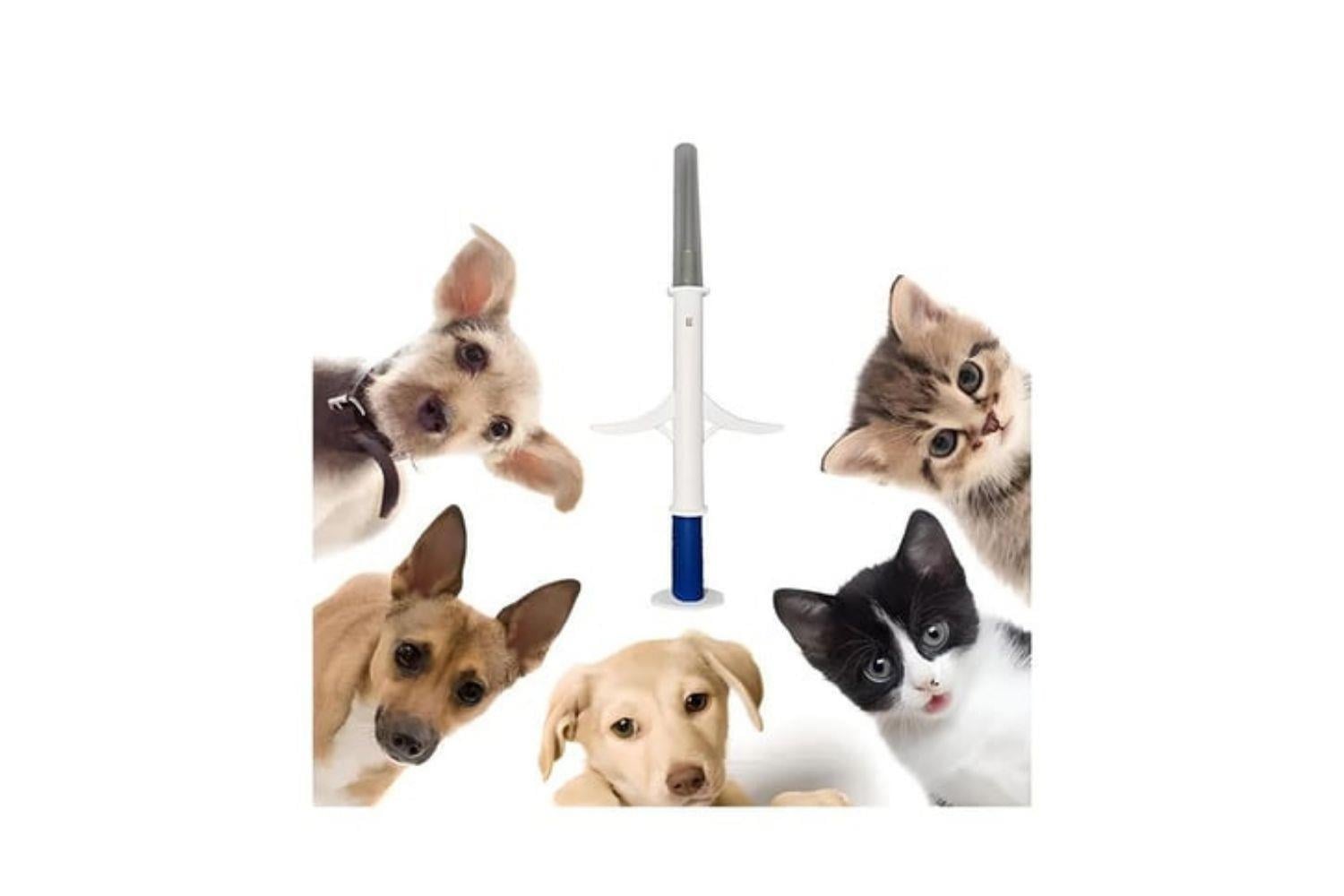 Evcil Kedi Köpek Deri Altı Çipi