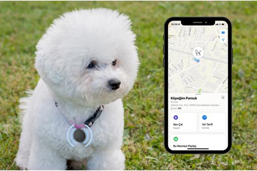 Akıllı Pet Takip Ürünü