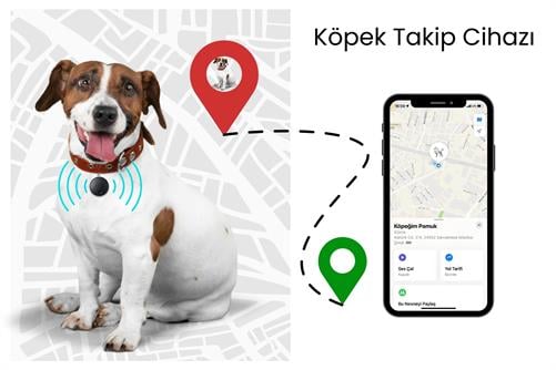 Köpek Takip Cihazı