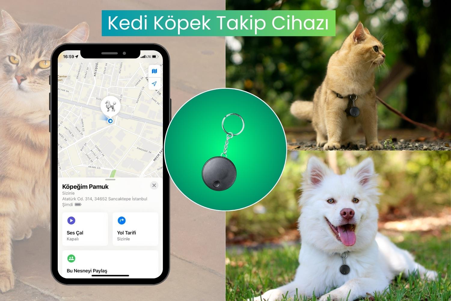 Evcil Hayvanlar İçin Akıllı Takip ve İzleme Cihazı