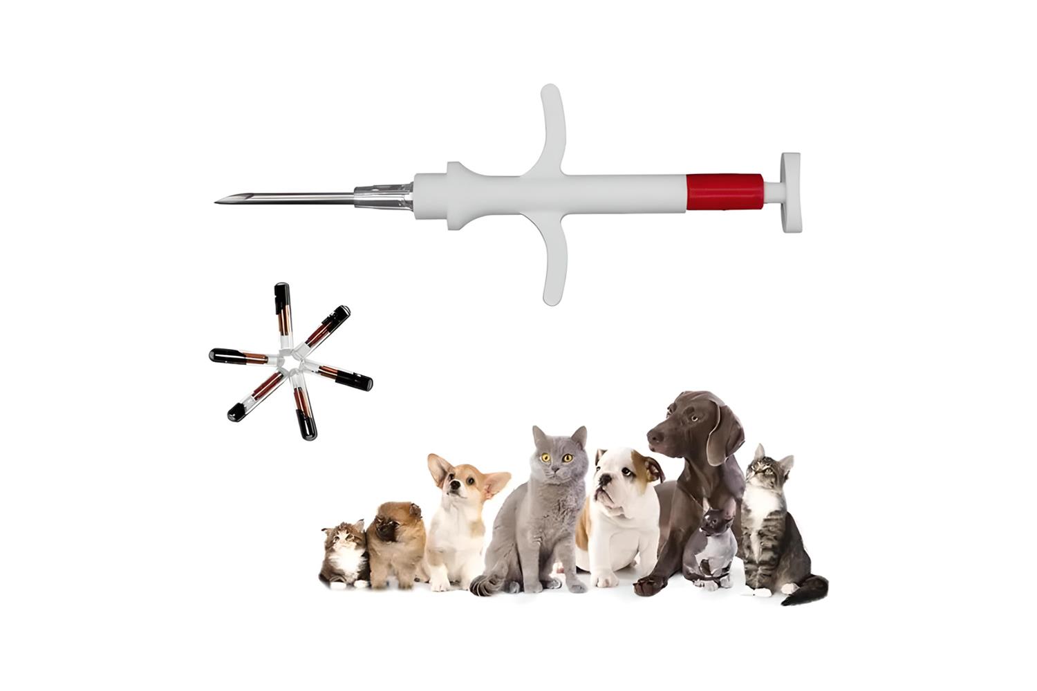 FDX-B Subkutan RFID Pişik Köpək Çipi