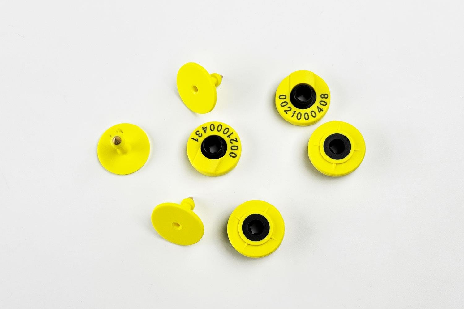 LF 134.2 KHZ Küçükbaş Hayvan Kulak Küpesi