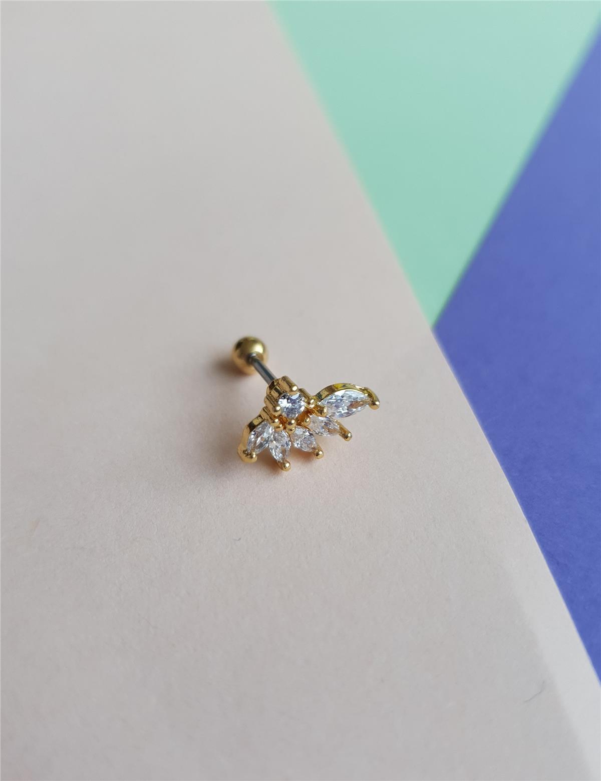 Yaprak Tragus