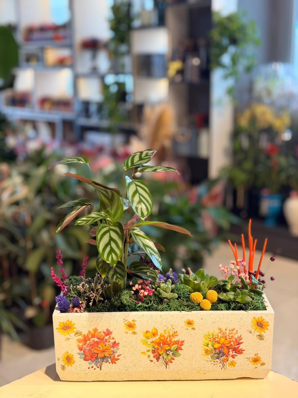 Ayçiçeği Desenli Dikdörtgen Seramik Dua Çiçeği Sukulent Kırmızı Kuru Çiçek Detaylı