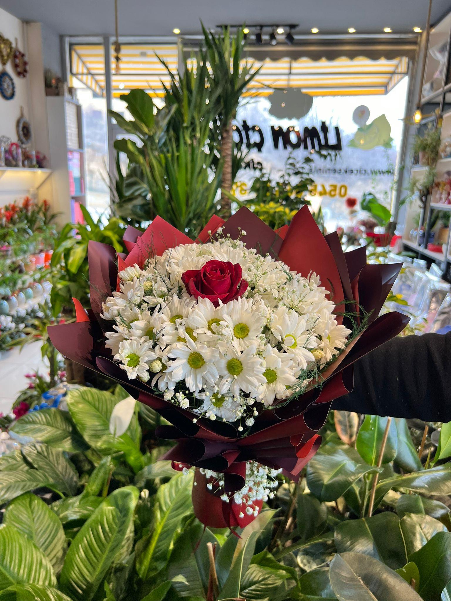 Beyaz Papatya Arası Tek Gül Buketi 