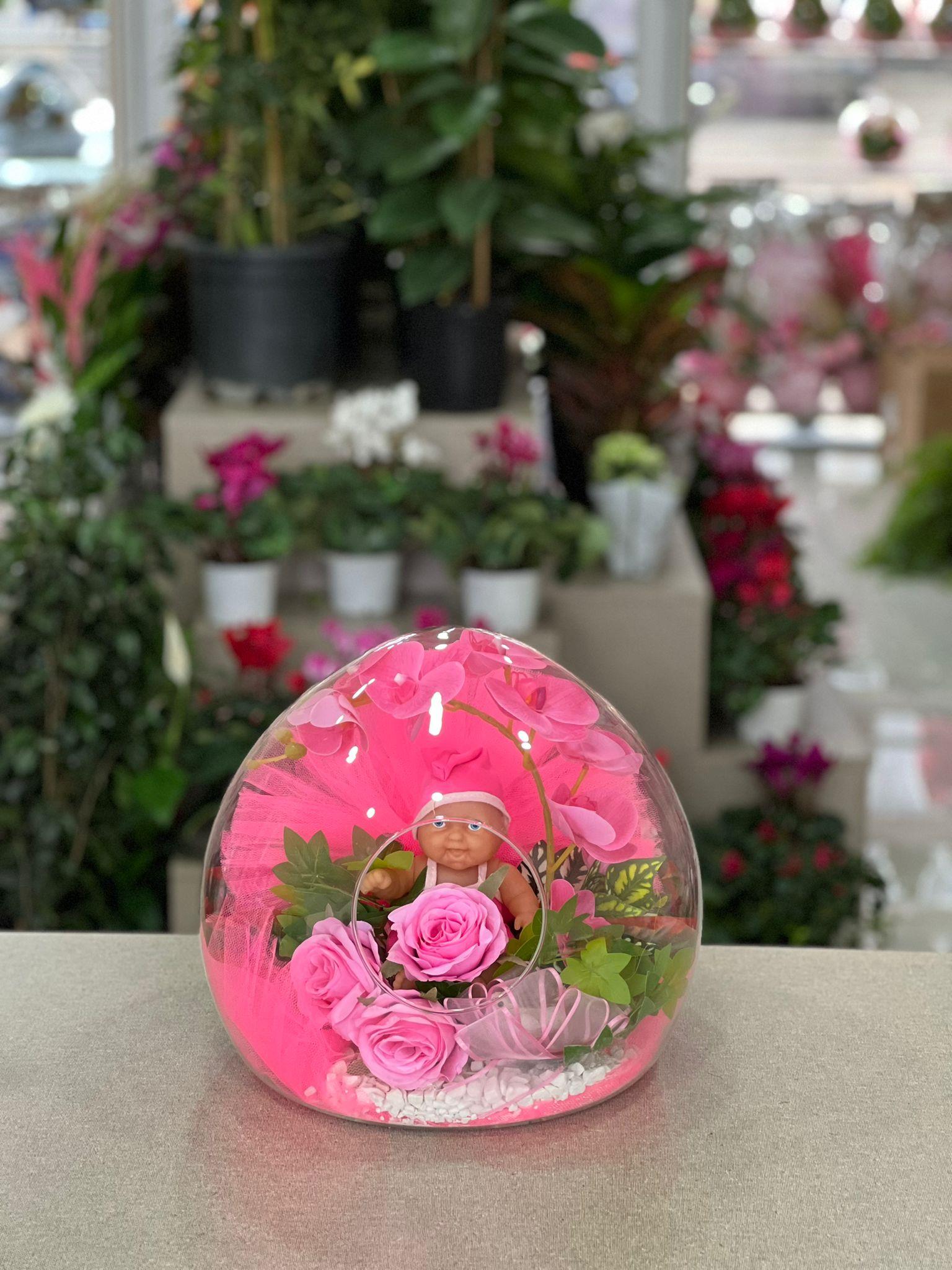 Büyük Boy Kız Bebek Teraryum