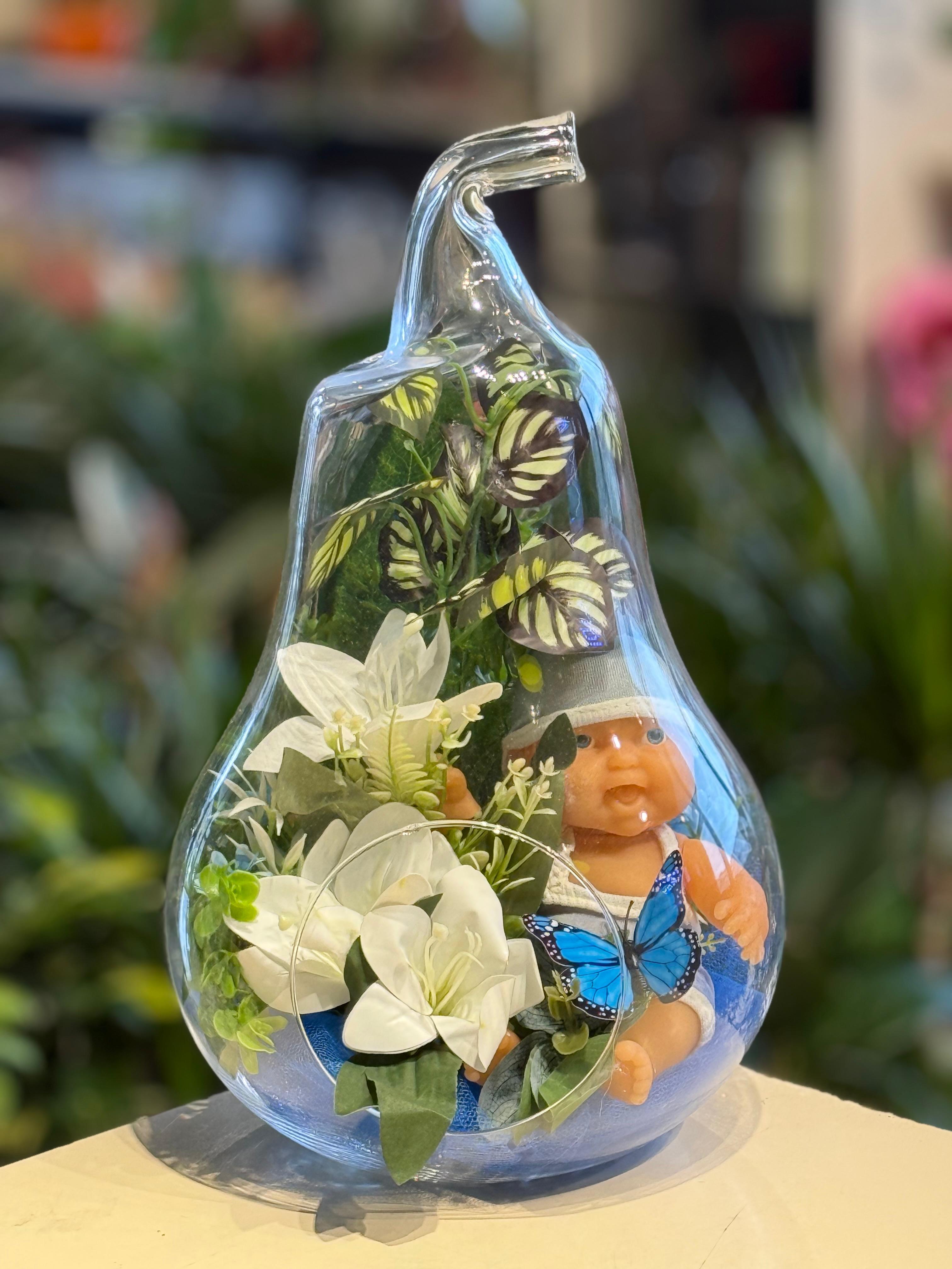 Erkek Bebek Armut Teraryum