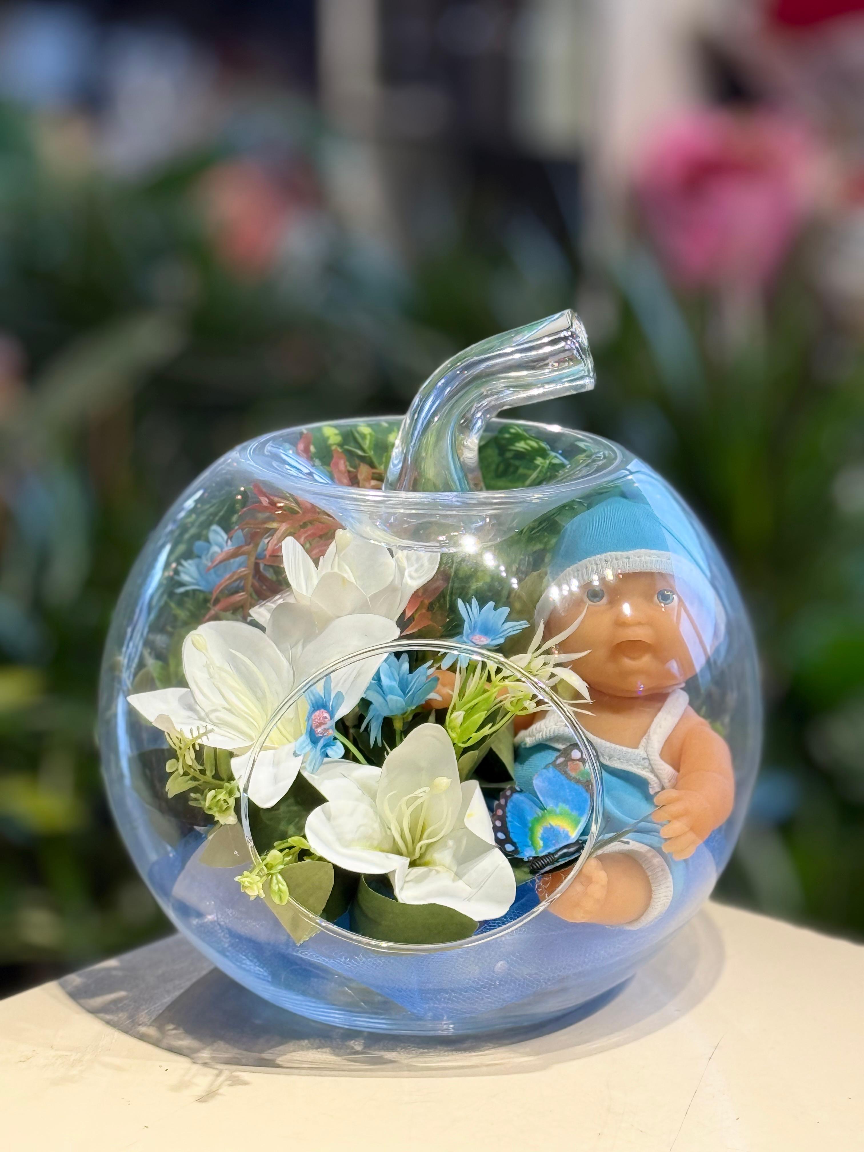 Erkek Bebek Elma Teraryum